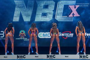 BIKINI НОВИЧКИ +164